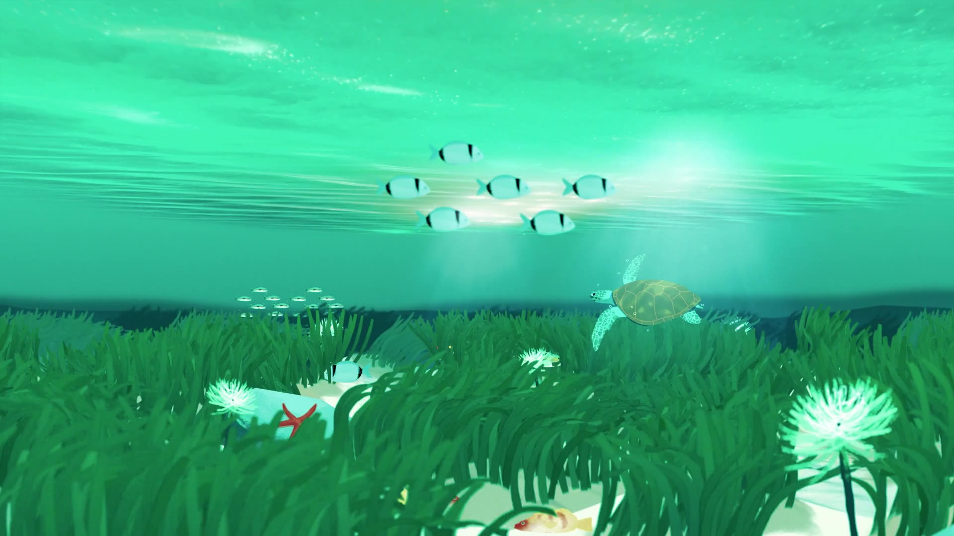 video placeholder